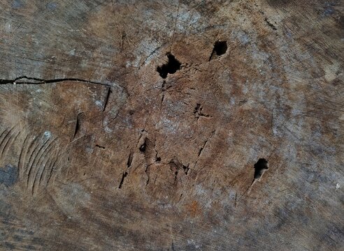 Background texture of a weathered aged wood cross section with natural decay hole and saw marks. Ideal for natural background 