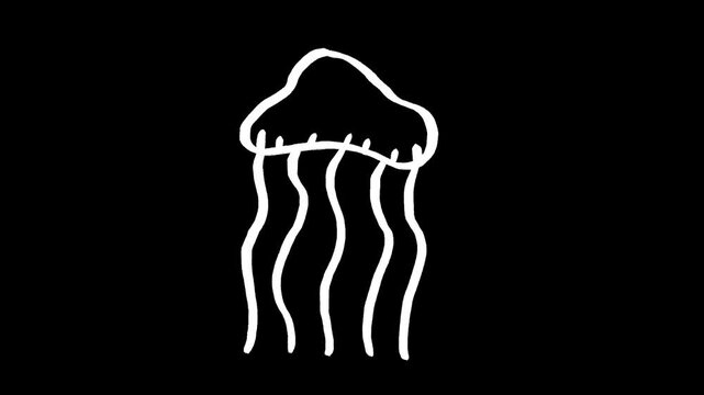 Jellyfish hand drawn animation, animated sea creature motion graphic illustration, ocean marine medusa tentacle aquatic line art sketch doodle loop clip art