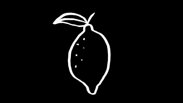 Lemon hand drawn animation, animated citrus fruit motion graphic illustration, tropical fresh lime organic food line art sketch doodle loop clip art