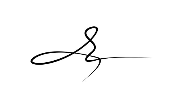 Elegant handwritten signature on white background.