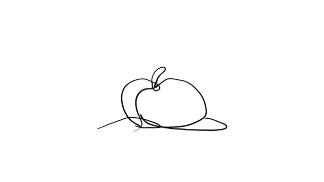 Minimalist line art apple drawing white background.