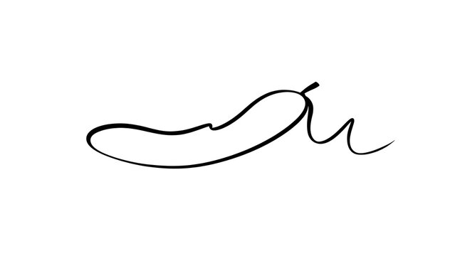 Elegant cursive signature on white background.