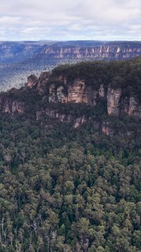 Sandstone Cliffs and Eucalyptus Forest in Jamison Valley Blue Mountains