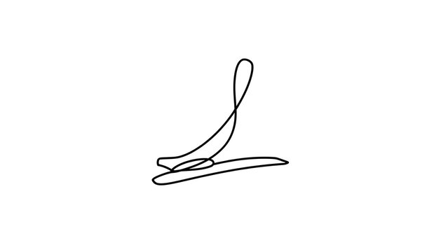 Elegant handwritten signature on white background.