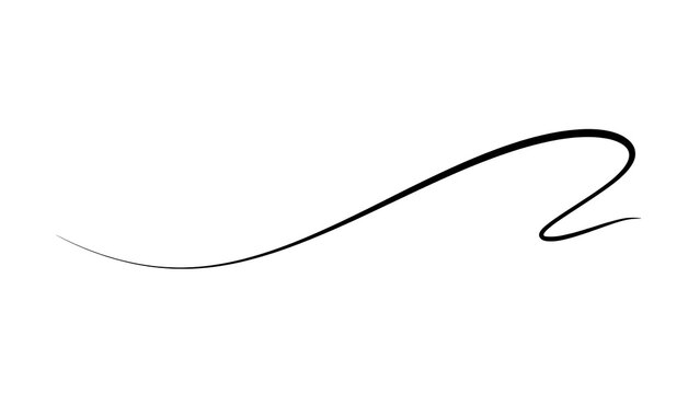 Elegant handwritten signature on white background.