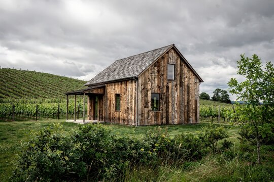 Rustic Wooden Cabin Nestled in Lush Vineyard Landscape, Overcast Sky Creating Dramatic Atmosphere, Verdant Greenery Surrounding, Earthy Tones of Weathered Wood, Capturing Tranquil Rural Serenity
