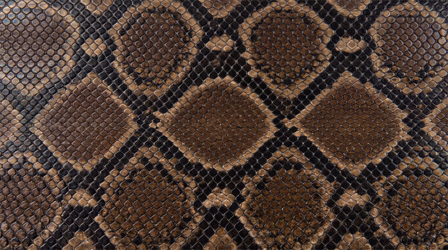Python snake skin texture with diamond scale pattern