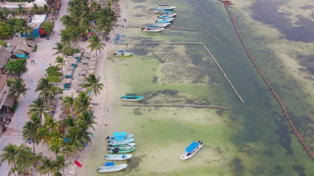 Coastal conservation barriers containing sargassum in Mahahual