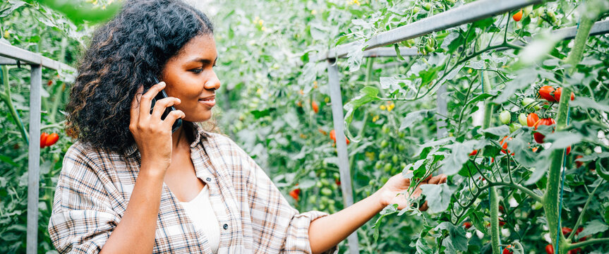 Woman farmer in greenhouse talks on phone