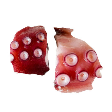 タコ ぶつ切りにされた2切れ切り抜き マダコ 魚介海鮮食材素材