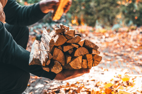 Heating season.Person Carrying Stack of Firewood. Solid natural heating fuel.man holds an armful of chopped firewood. Preparing firewood for the fall heating season.Preparation and storage of firewood