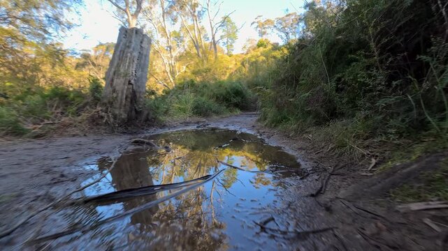 Low Angle View of Muddy Hiking Trail with Water Puddle Reflection