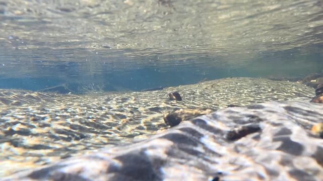 Underwater View of Sunlight Refracting on a Shallow River Bed