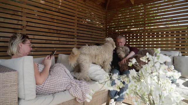 Couple relaxing together on comfortable garden furniture beneath a wooden gazebo while their pet dogs gather around for affection in a tranquil outdoor setting