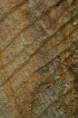 Rough textured natural sandstone background with warm earthy tones and chiseled linear pattern, distinct chiseled parallel ridges, vertical image. © junky_jess