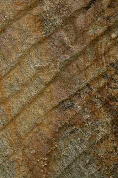 Rough textured natural sandstone background with warm earthy tones and chiseled linear pattern, distinct chiseled parallel ridges, vertical image.