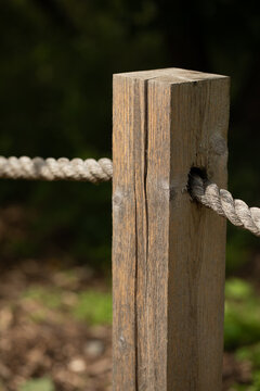 Weathered, textured rustic wooden fence post with thick rope on a blurred natural green background