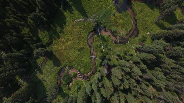 Aerial of winding stream through Boise National Forest Idaho in summer