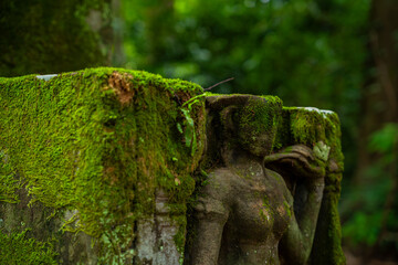 Fototapeta premium Banteay Kdei Temple in Siem Reap Province