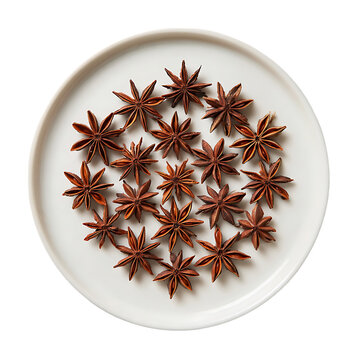 Modern plate with circular star anise pod layout
