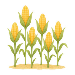 Obraz premium PNG Illustrated corn plants on soil.