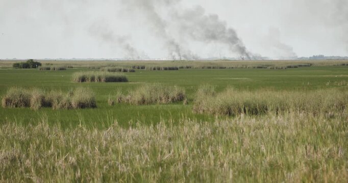 4K footage of multiple wildfire hotspots burning across the Florida Everglades in Broward County. Smoke rises beyond sawgrass marshes.