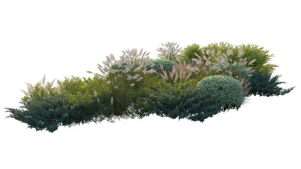 Fototapeta premium garden landscape composition with blooming hydrangea bushes, ornamental pampas grass, and shrubs (hydrangea, pampas grass, shrubs) isolated PNG on a transparent background cutout