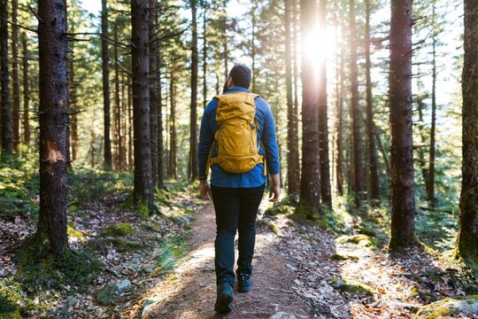 Hiker with a yellow backpack hiking on a sunlit forest trail in the nature woods