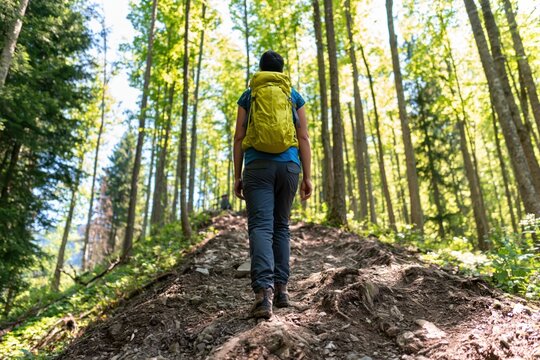 Hiker with yellow backpack walking on a forest trail during a summer nature trek