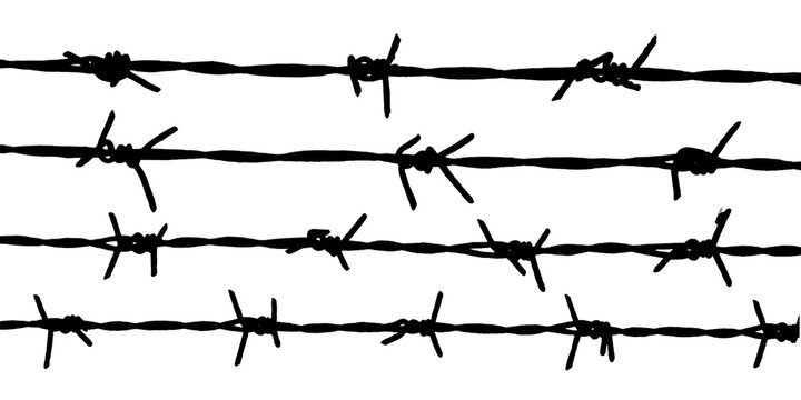 Barbed wire isolated on white background representing security, protection, restricted area, border control, prison, military defense, warning, danger, surveillance, and perimeter fencing.