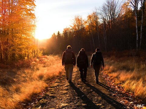 Hiking friends walking along a trail in a vibrant autumn forest at golden sunset