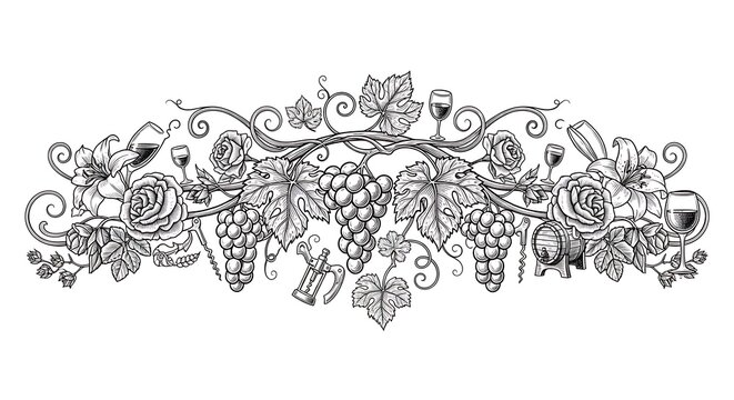 Hand drawn wine and grapevine decorative border illustration