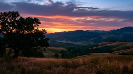 Fototapeta premium A vibrant sunset paints rolling hills and a lone tree silhouette against a dramatic sky at dusk