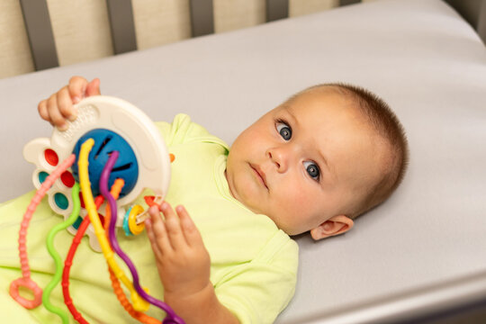 Alert Infant Playing With Colorful Developmental Sensory Toy