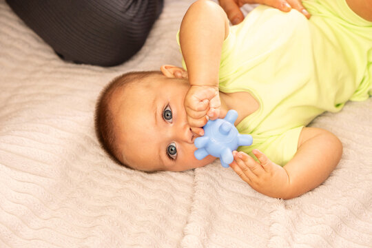 Curious Baby Boy Holds Blue Teething Toy Indoors