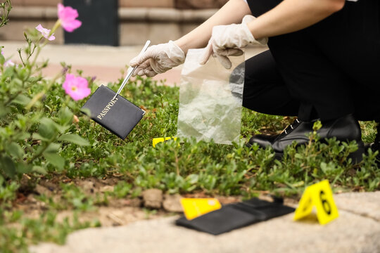 Forensic investigator collecting a passport with tweezers at a crime scene evidence collection and investigation