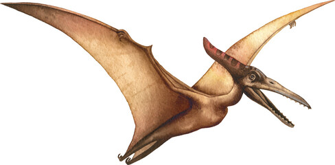 Flying Pterodactyl Painted Illustration © rey
