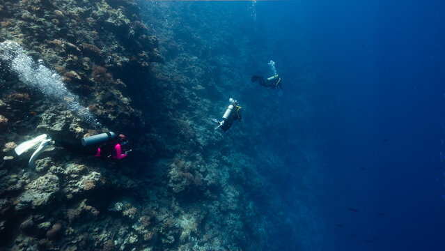 Underwater shot of 3 SCUBA Divers swimming along a deep tropical wall in the Palau Marine Sanctuary