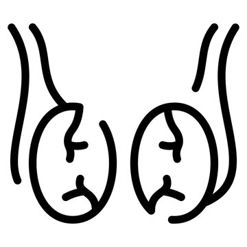 Testicle