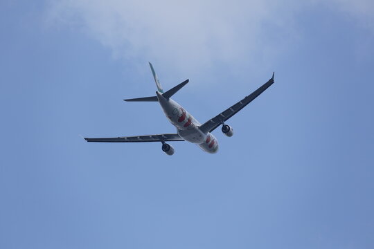 An EVA Air Special Livery Jet Climbs Overhead.