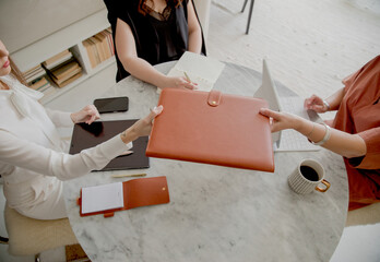 Fototapeta premium Businesswoman Handing Portfolio to Woman During Office Meeting