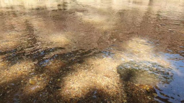 Close-up of crystal clear river water running over gravel bed with natural tree silhouettes.