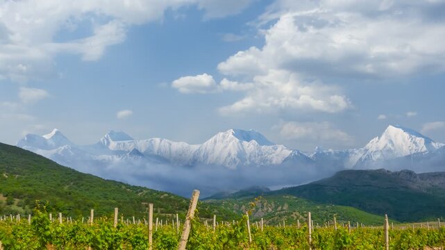 vineyard in mountain valley, rural agricultural time lapse scene