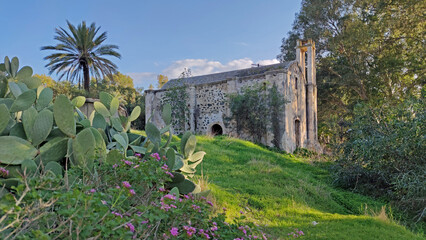 Naklejka premium Scenic view of the historic Acendu Church (Agios Georgios) in Lefke, set on a grassy hill surrounded by lush Mediterranean vegetation, palm trees, and prickly pear cacti.
