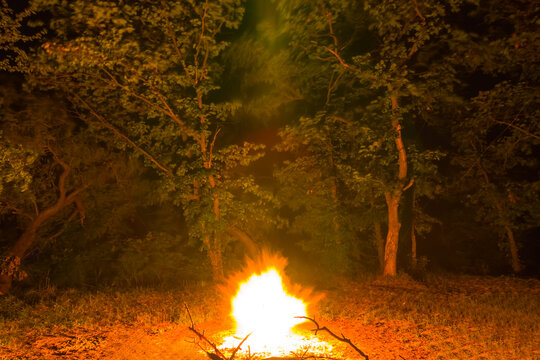 closeup camp fire among the night  forest, summer camping scene