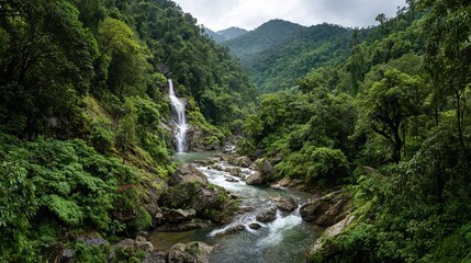 Fototapeta premium Lush rainforest valley showcases a cascading waterfall, framed by dense foliage and rugged, shadowed terrain