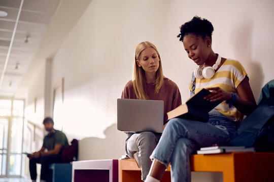 Female students cooperating while studying at university.