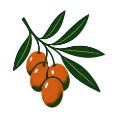 Fototapeta premium PNG Vintage olive branch illustration