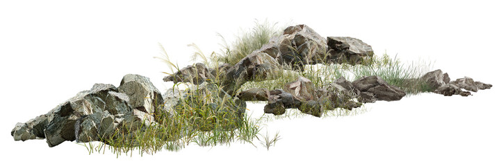 wild boar isolated on white/Ultra-sharp high-resolution rocky landscape with natural grass, isolated on a white background. Perfect for nature, geology, landscape, and environmental design projects. © Saharattaphum