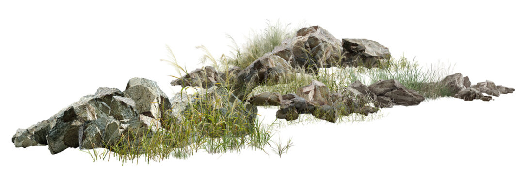 wild boar isolated on white/Ultra-sharp high-resolution rocky landscape with natural grass, isolated on a white background. Perfect for nature, geology, landscape, and environmental design projects.